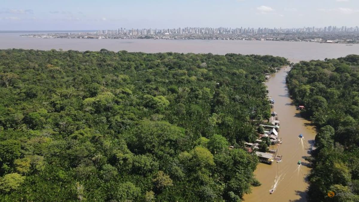Climate Action at COP30: Urgent NDCs and Financing Needed