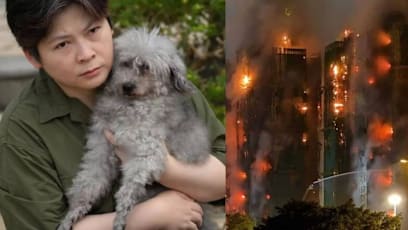 How A Note Stuck On A Wall Saved This 15-Yr-Old Poodle Trapped In The Tai Po Fire