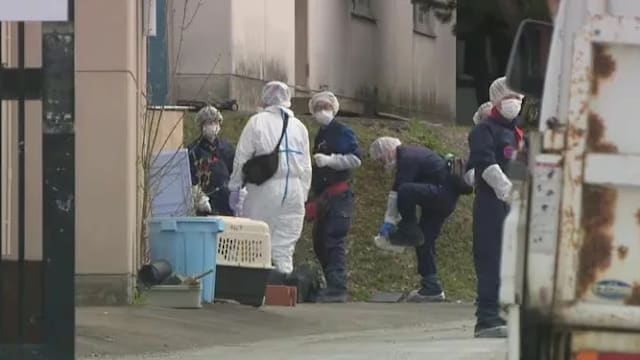 男子称将妻子弃尸动物园 北海道警方展开搜查
