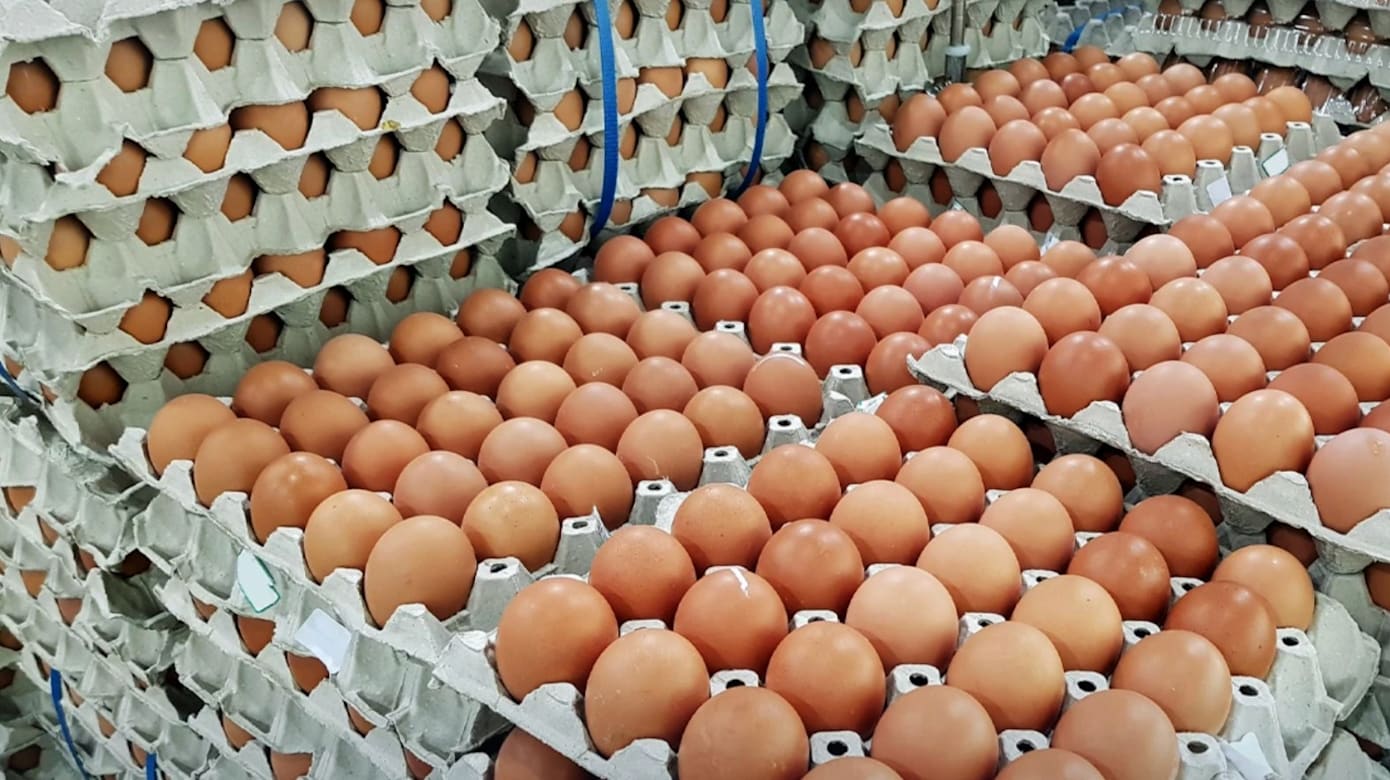 泰国蛋价明天起上调