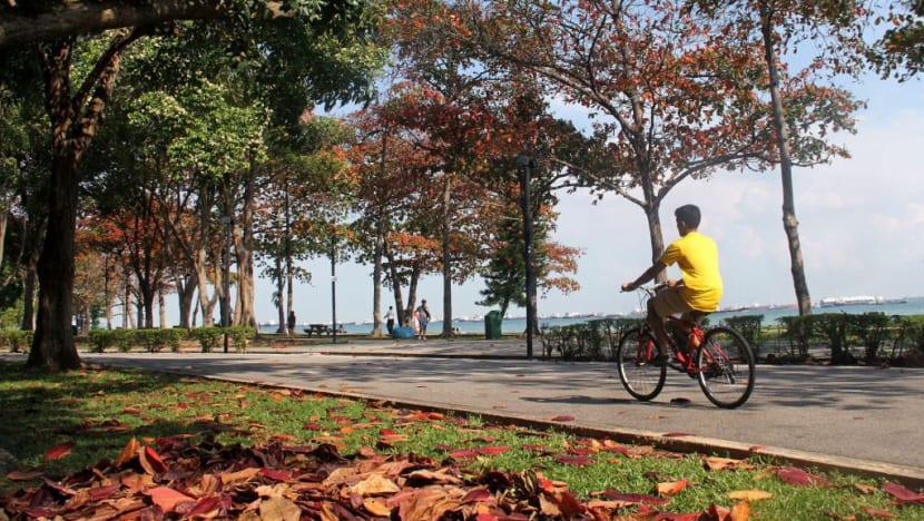 S’pore declares 2018 as ‘Year of Climate Action’