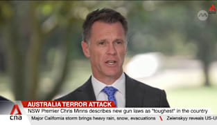 Australia's New South Wales passes tougher gun, anti-terror laws after Bondi Beach shooting