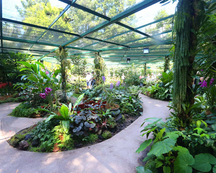 More enhancements to National Orchid Garden underway