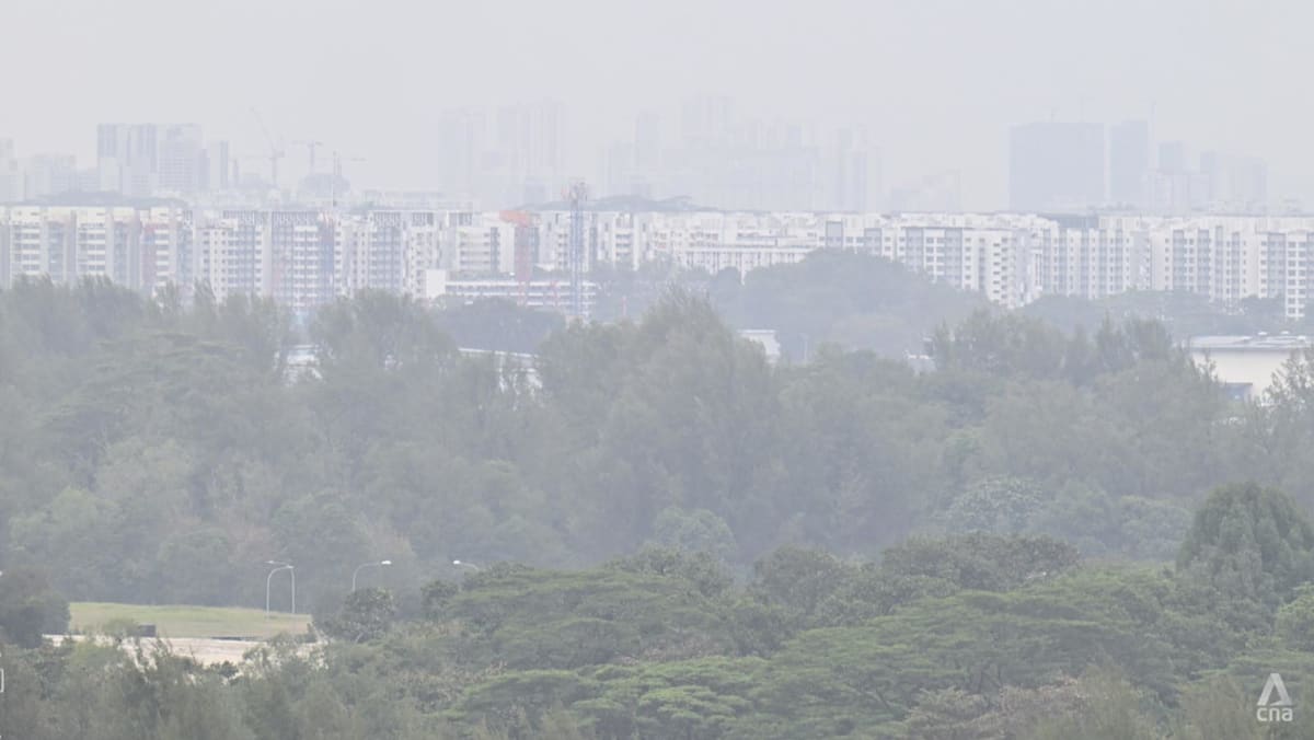 Burning smell across Singapore may be due to 'mixture of gases' from region's peatland, vegetation fires: NEA