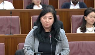 Motion: Yeo Wan Ling on government response to political salaries review