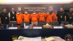 Related article image