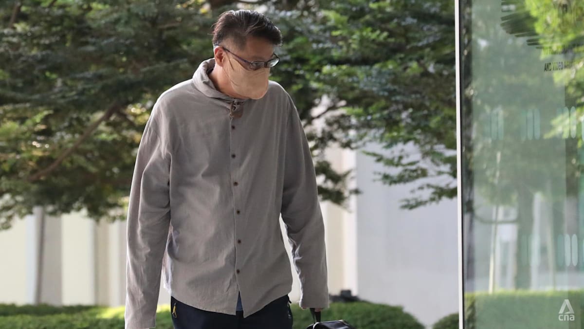 Man admits making makeshift crossbow to shoot ball bearings at crows