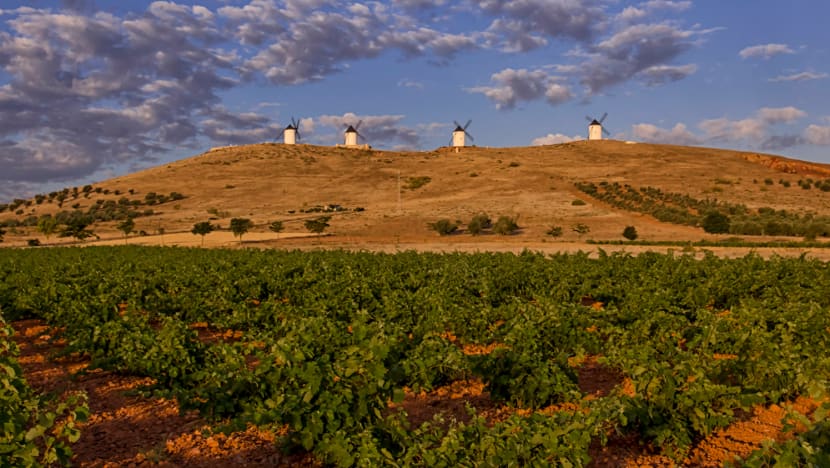 What does La Mancha, the underrated wine region in Spain, have to offer?