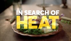 In Search Of Heat
