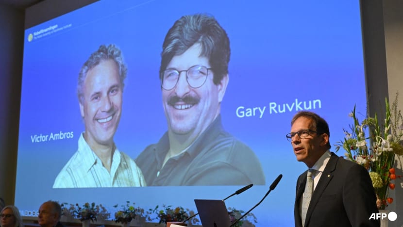 Nobel prize for medicine goes to US scientists for discovery of microRNA Nobel prize for medicine goes to US scientists for discovery of microRNA