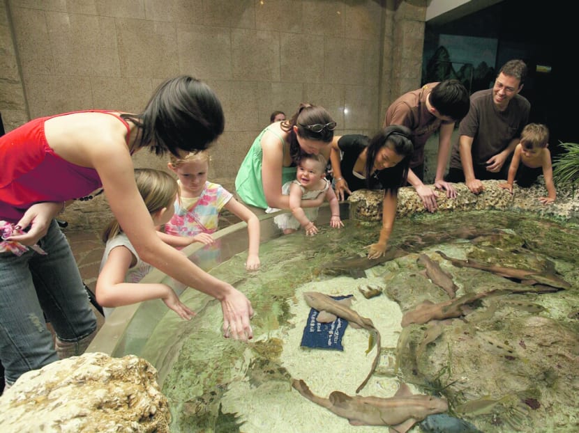 Escape to Sentosa Part 1: For the family