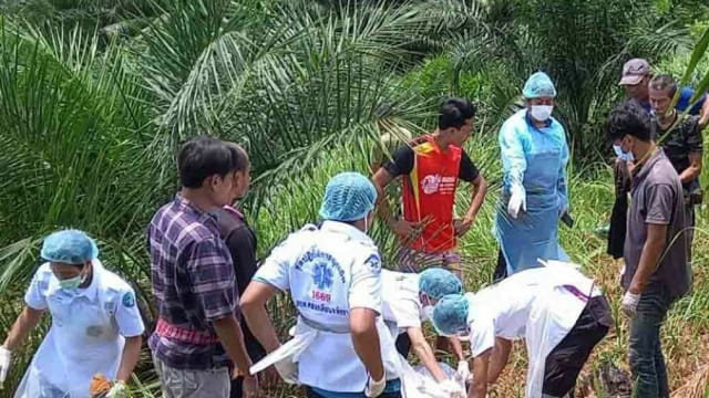 泰国大象炎热天气要工作 疑发怒将象夫身体撕成两半