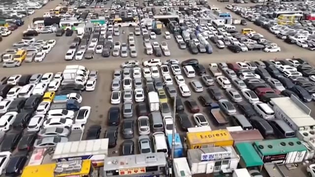 印度化肥短缺推高农民成本 日韩二手车出口受阻