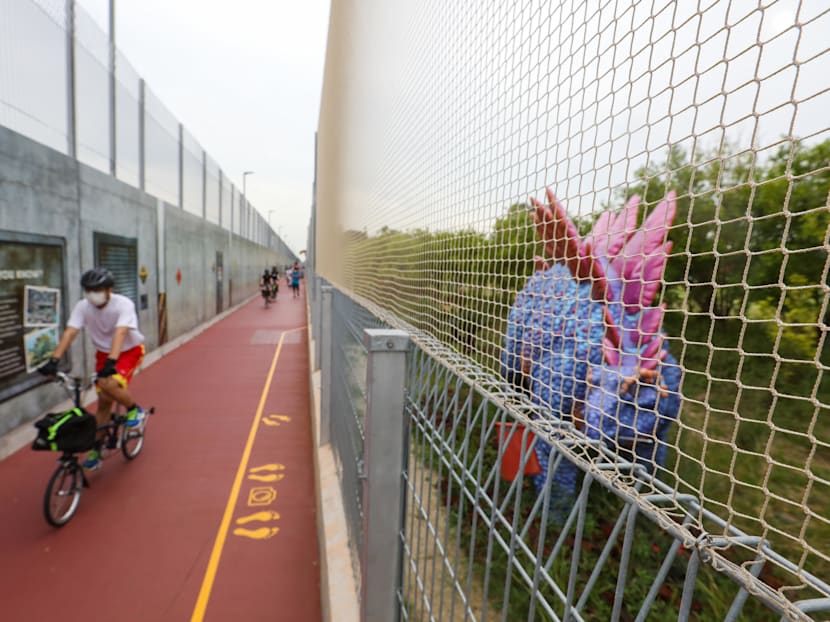 Jurassic Mile’s red paths confusing for cyclists