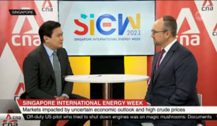 Expecting premium on tangible actions that can curb global warming: Expert