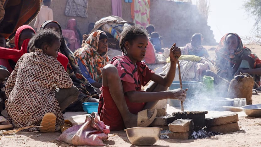 Mesir kecam serangan ke atas konvoi bantuan perubatan di Sudan