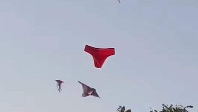 Gambar Pilihan Hari Ini