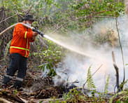 Wildfires spread near Indonesia's new capital, prompting calls for action