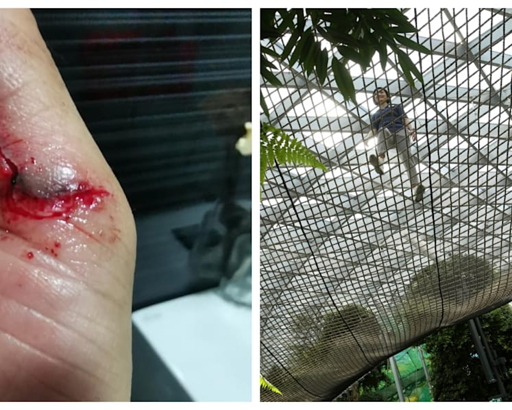 Woman sustains deep cut on hand after tripping at Jewel Sky Nets attraction