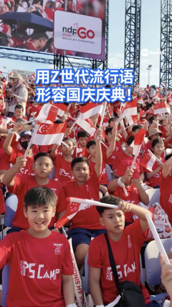 ndp2025 ne show