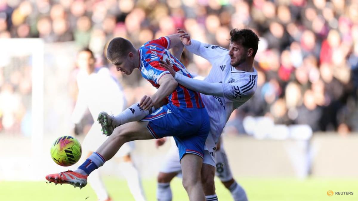 Man United fight back to end Palace’s unbeaten home run