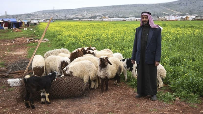 Pelarian Syria jalan 3km setiap hari demi sara keluarga