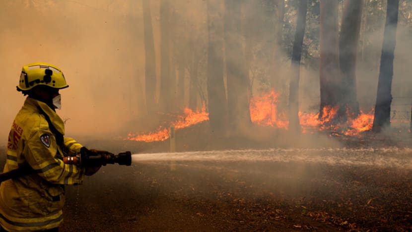 Explainer: The cause of Australia’s deadly bushfires, why they are worse this year and climate change's role