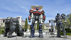 Related article image