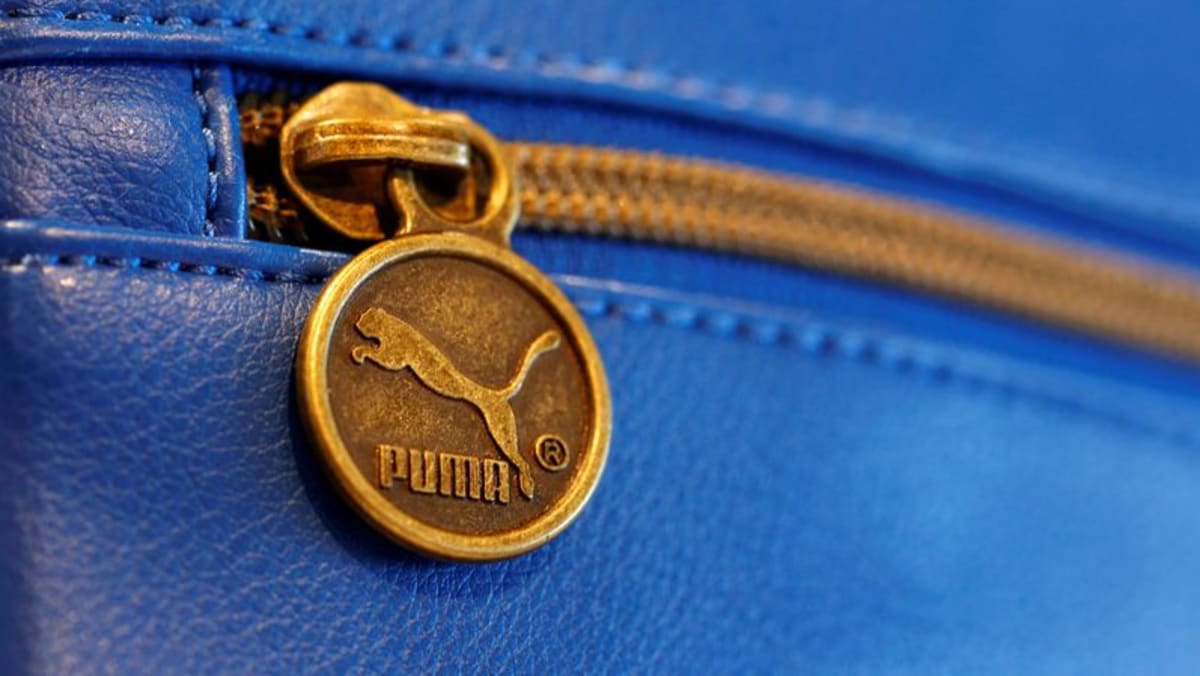 China's Anta Sports to become top Puma shareholder - CNA