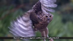 Related article image