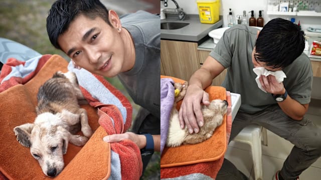相伴9年爱犬安乐死！黄俊雄落泪吐心中愧疚