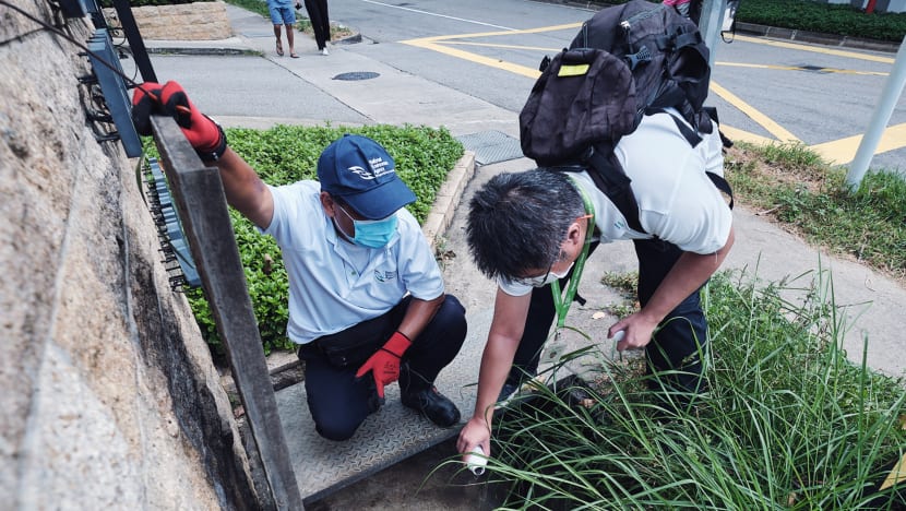 Fewer cleaning services, overgrown grass may have pushed up dengue cases: Grace Fu