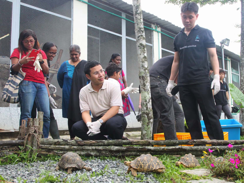 Wildlife sanctuary for rescued animals opens