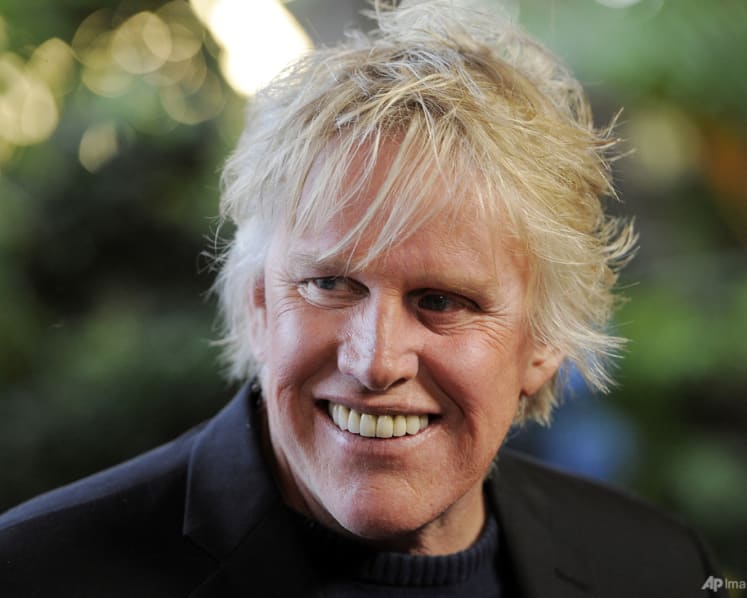 American actor Gary Busey pleads guilty to sex offence at horror convention