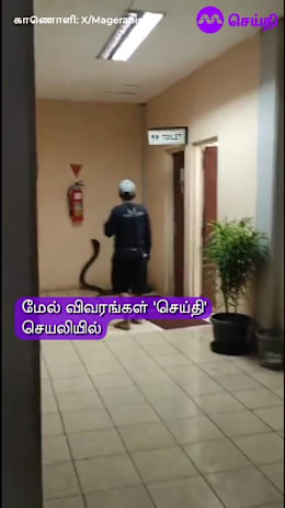 கழிவறையில் சீறிப்