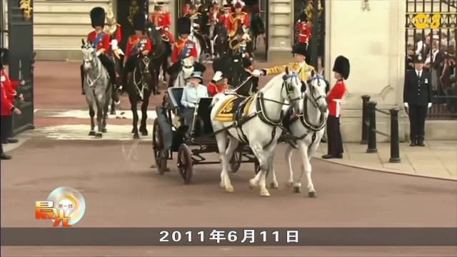 晨光|晨心诚意：英国皇家骑兵马 退役生活待遇尊贵