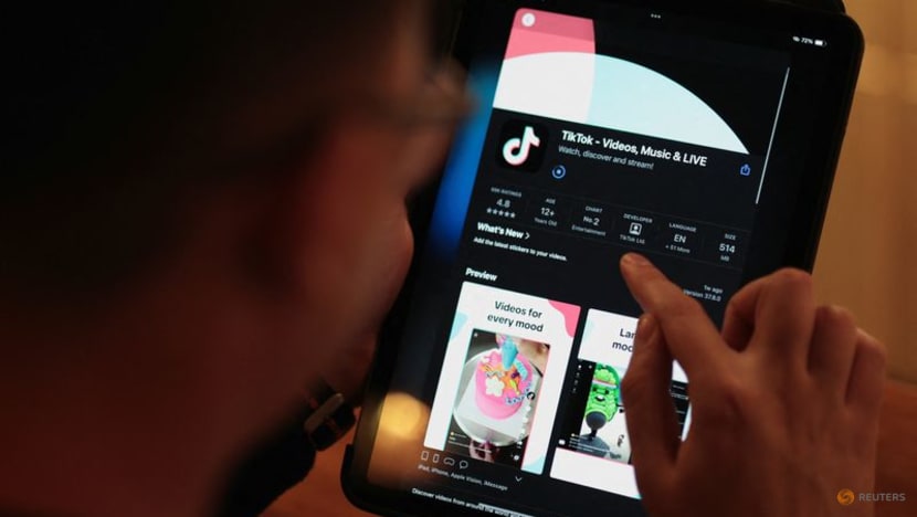 Albania TikTok ban sparks debate over freedom of speech