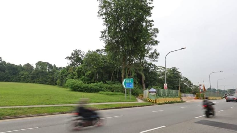 Related article image