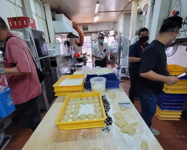 Licence holder of food manufacturing company fined S$4,000 over 'severe' pest infestation