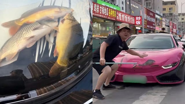 中国男子引擎盖上“养鱼” 交警：属非法改装