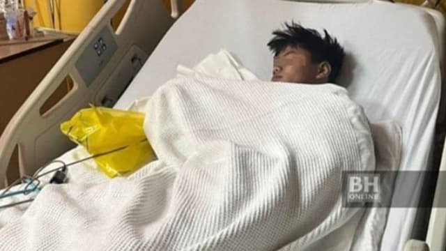 又有人误食诱猴毒饼 马国少年紧急送医救治
