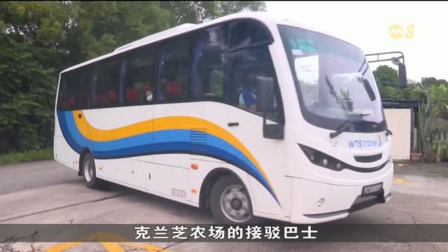 克兰芝农场接驳巴士服务最后一天运作 业者忧进一步影响访客人数