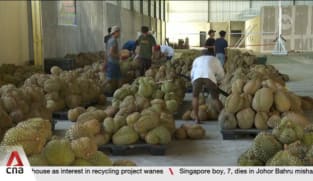 Indonesia prepares to export frozen durians directly to China