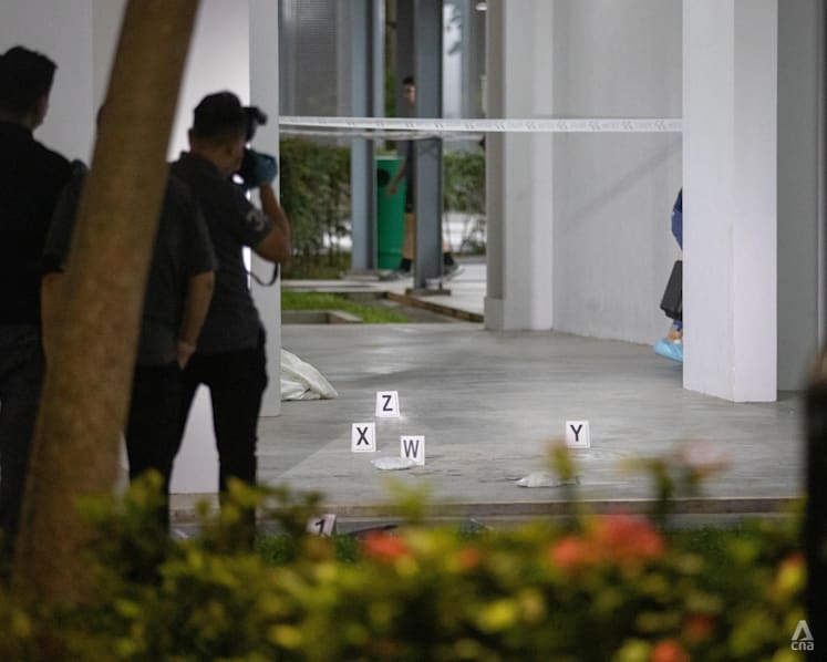 Clementi HDB death: 50-year-old man to be charged with murder