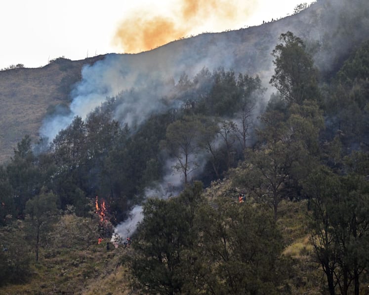Prabowo orders coordinated measures against Indonesia wildfires