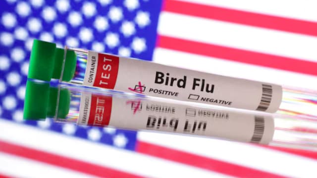 美国出现第一起人类感染禽流感后死亡病例