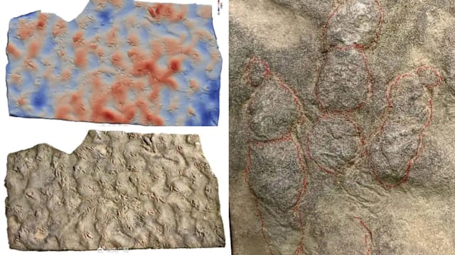 中国村民多年垫脚石竟是珍稀化石！保存1.9亿年前恐龙足迹