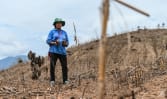IN FOCUS: Insatiable global meat appetite leaves Thai farmland scarred, rural communities in the dust
