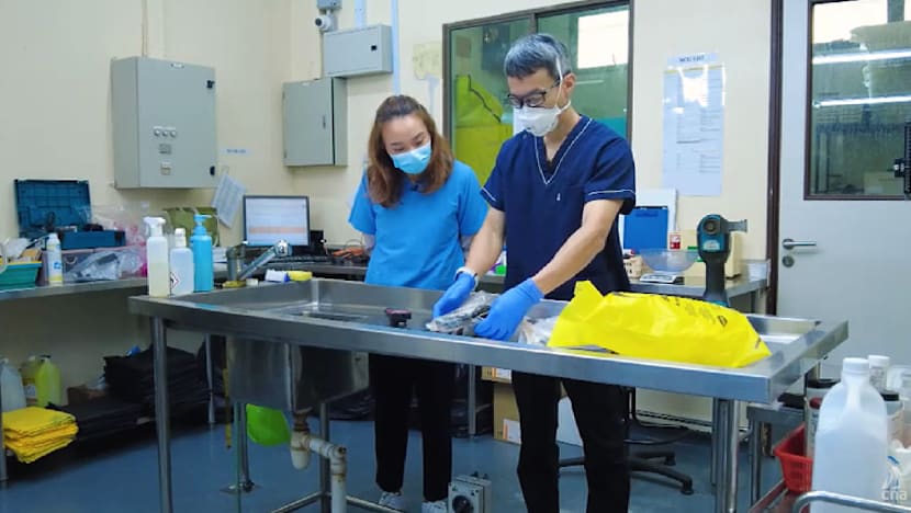What happens after an animal dies at the Singapore Zoo? Meet the vet who investigates every death