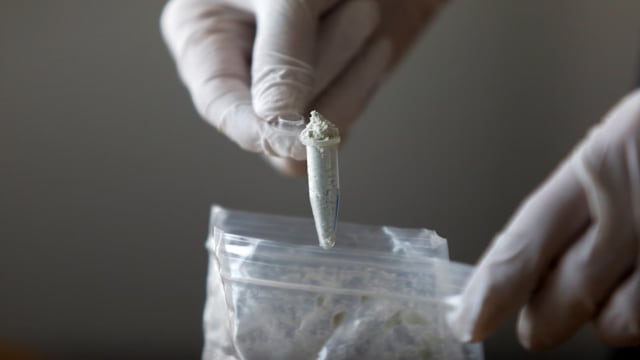 美国：中国已同意阻止芬太尼相关化学品计划